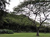 DSC01275