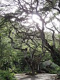DSC01281