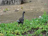 DSC01291