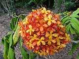 DSC01293