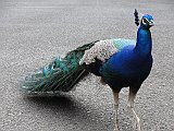 DSC01301