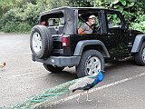 DSC01303