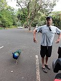 DSC01309