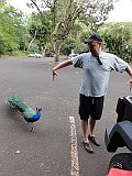 DSC01310