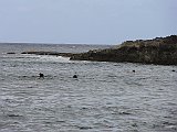 DSC01343