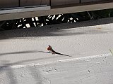 DSC01448