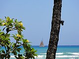 DSC01451