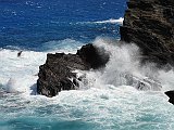 DSC01498
