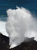 DSC01510