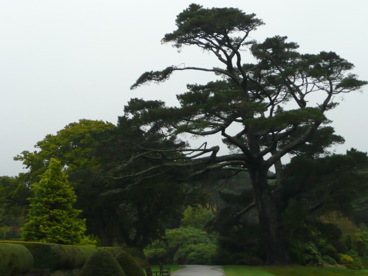 P1030078 