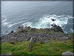 P1020821.JPG