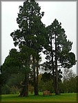 P1030242.JPG