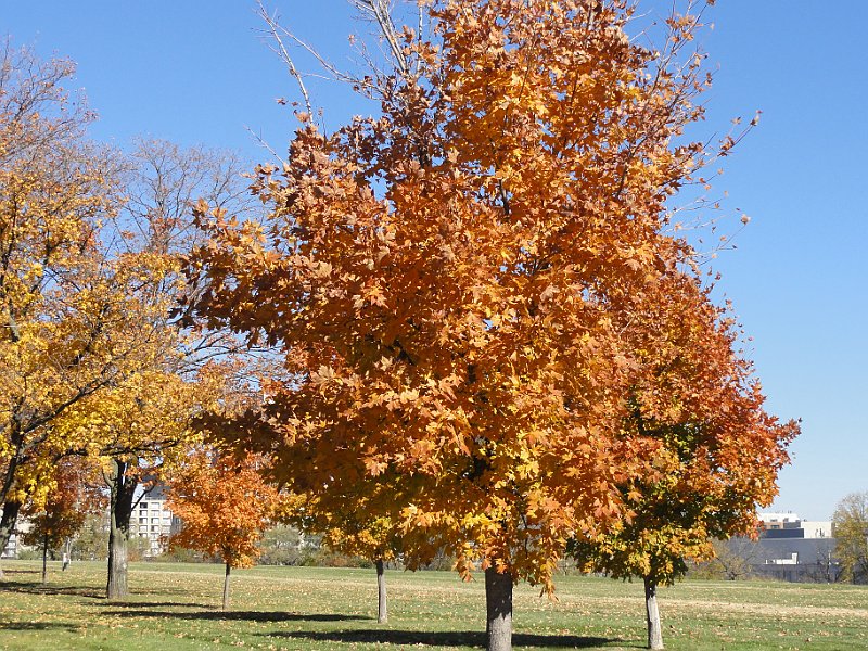 DSC03242.JPG