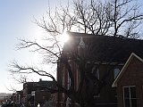 DSC03200