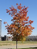 DSC03240