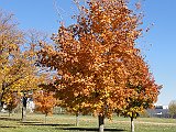 DSC03242