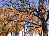 DSC03246