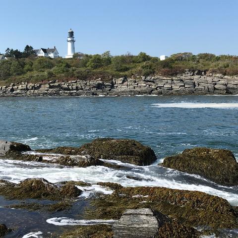 IMG 1631