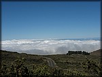 IMG_1735.jpg