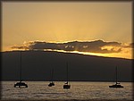 IMG_1772.jpg