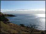 IMG_1784.jpg