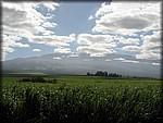 IMG_1791.jpg
