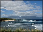 IMG_1792.jpg