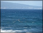IMG_1794.jpg