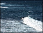 IMG_1798.jpg