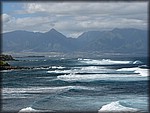 IMG_1799.jpg