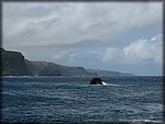 IMG_1856.jpg