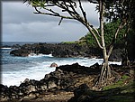 IMG_1893.jpg