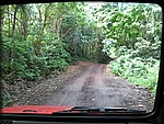 IMG_1923.jpg