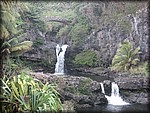 IMG_1995.jpg