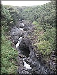 IMG_1997.jpg