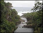 IMG_2000.jpg