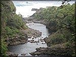 IMG_2003.jpg