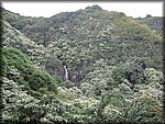 IMG_2015.jpg