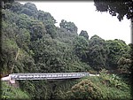 IMG_2016.jpg