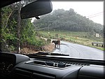 IMG_2018.jpg