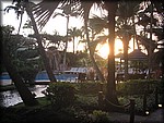 IMG_2023.jpg