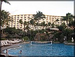 IMG_2028.jpg