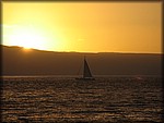 IMG_2031.jpg