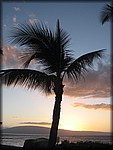 IMG_2039.jpg