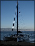 IMG_2046.jpg