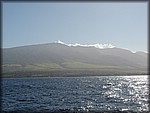 IMG_2153.jpg