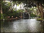 IMG_2247.jpg