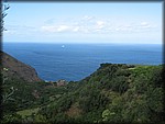 IMG_2354.jpg
