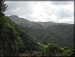 IMG_2356.jpg