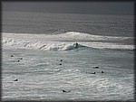 IMG_2358.jpg
